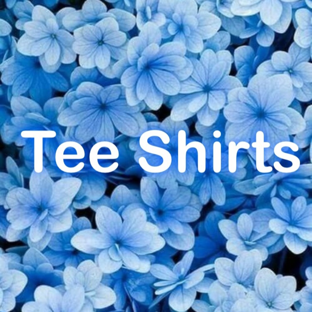 Tee shirt section of my closet